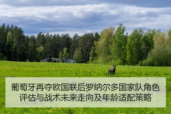 pu-tao-ya-zai-duo-ou-guo-lian-hou-luo-na-er-duo-guo-jia-dui-jue-se-ping-gu-yu-zhan-shu-wei-lai-zou-xiang-ji-nian-ling-2-172.jpg