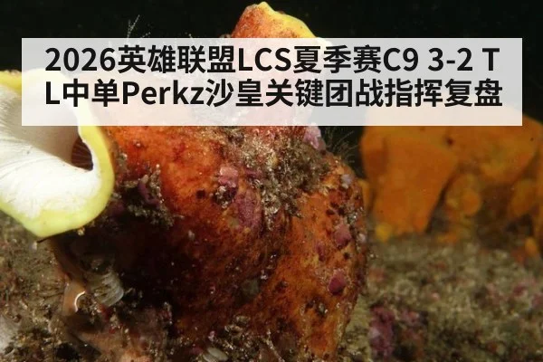 2026英雄联盟LCS夏季赛C9 3-2 TL中单Perkz沙皇关键团战指挥复盘