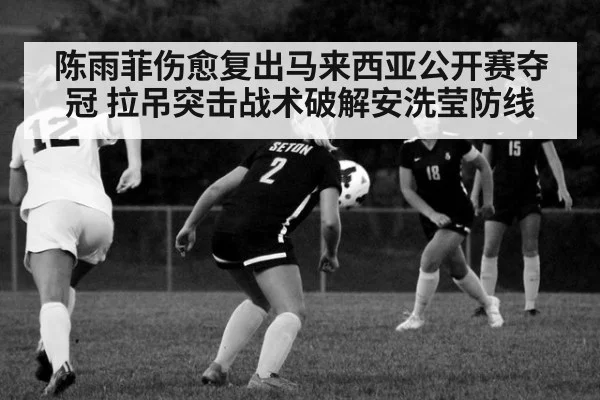 陈雨菲伤愈复出马来西亚公开赛夺冠 拉吊突击战术破解安洗莹防线